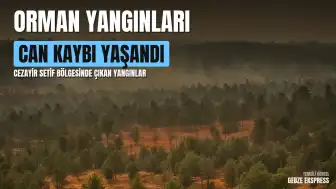 Cezayir'deki Orman Yangınlarında Can Kaybı ve Yaralanma Bildirildi