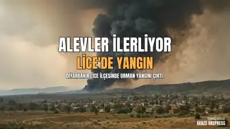 Diyarbakır Lice'de Orman Yangını: Alevler Yerleşim Yerlerine Yaklaştı