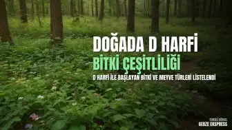 Doğadaki Çeşitlilik: D Harfi ile Başlayan Bitki, Meyve ve Çiçek Türleri Listelendi
