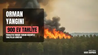 Fransa'da Fontainebleau Ormanı'nda Dev Yangın: Bin Yakın Ev Tahliye Edildi