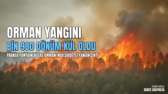 Fransa'da Orman Yangını: Fontainebleau Ormanı'nda Bin 980 Dönümlük Alan Kül Oldu