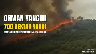 Fransa'nın güneyinde orman yangınları: 700 hektarlık alan zarar gördü