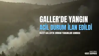 Galler'in Kuzeyinde Orman Yangını Nedeniyle Acil Durum İlan Edildi