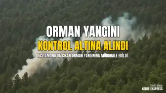 Kastamonu'da Orman Yangını: Daday ve Araç Sınırında Alevlere Müdahale Edildi