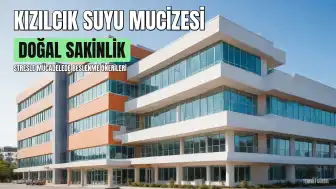 Kızılcık Suyu: Stresi Azaltmaya Yardımcı Olabilecek Doğal Bir Yöntem
