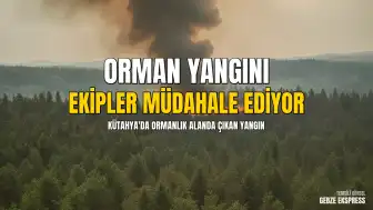 Kütahya 30 Ağustos Mahallesi'nde Orman Yangını Çıktı