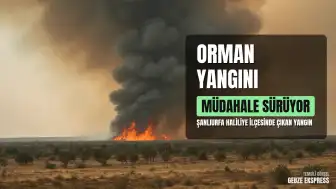 Şanlıurfa Haliliye'de Orman Yangını: Müdahale Devam Ediyor