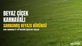 Sarıkamış'ın Doğasında Mevsimsel Dönüşüm: Kışın Kar, Yazın Çiçekler