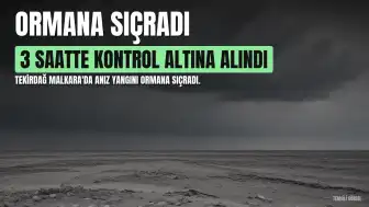 Tekirdağ Malkara'da Anız Yangını Ormana Sıçradı: 3 Saatte Kontrol Altına Alındı