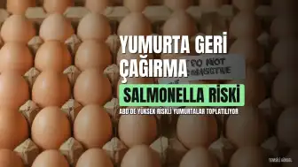 ABD'de Salmonella Şüphesiyle 19 Milyon Yumurta Geri Çağrıldı, Risk Seviyesi En Yükseğe Çıkarıldı