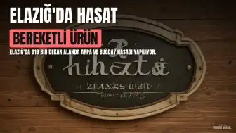 Elazığ'da Arpa ve Buğday Hasadı: 366 Bin Ton Ürün Bekleniyor