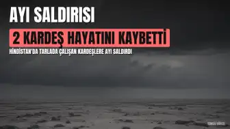 Hindistan'da Ayı Saldırısı: 2 Kardeş Hayatını Kaybetti, 1 Yaralı