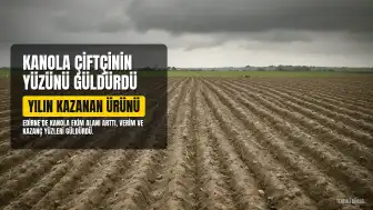 Trakya'da Kanola: Çiftçinin 'Sarı Altın Çiçeği' Bu Yılın Kazananı Oldu