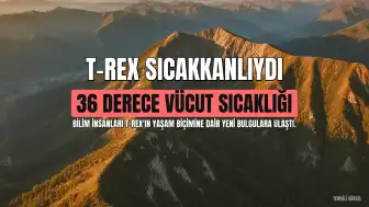 Bilim İnsanları T-Rex'in Sıcakkanlı Olduğunu Ortaya Koydu