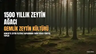 Gemlik'te 'Zeytin Rotası Keşif Yürüyüşü' Gerçekleştirildi