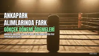 Gökçek'in Dinozorları İçin Fazla Ödeme Yapıldığı Ortaya Çıktı