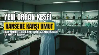 İnsan Kafatası Kemiği İliğinde Yeni Bir Organ Yapısı Keşfedildi: Kansere Karşı Umut Işığı