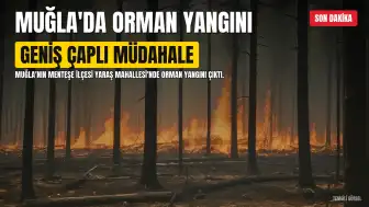 Muğla'nın Menteşe İlçesinde Orman Yangını: Geniş Çaplı Müdahale Başlatıldı