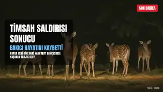 Papua Yeni Gine'de Hayvanat Bahçesinde Timsah Saldırısı: B. Canlı Yayında Hayatını Kaybetti
