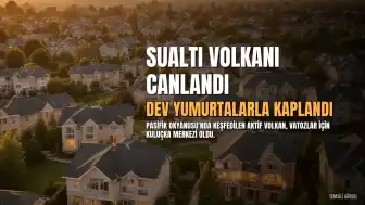 Pasifik Okyanusu'nda Sönmüş Sanılan Sualtı Volkanı Yeniden Aktif: Dev Yumurtalarla Kaplı