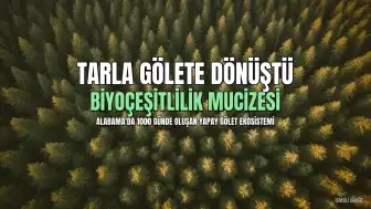Tarlasını Gölete Dönüştüren Çiftçi, 1000 Gün Sonra Biyoçeşitlilik Mucizesini Gördü