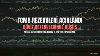TCMB Rezervleri Açıklandı: Brüt Döviz Rezervlerinde Düşüş, Altın Rezervlerinde Artış
