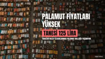 Trabzon Balık Tezgahlarında Palamut Fiyatları Dikkat Çekiyor: Tanesi 125 Liraya Kadar Ulaşıyor