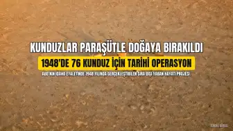 ABD'de 1948 Yılında 76 Kunduz Paraşütle Doğaya Bırakıldı