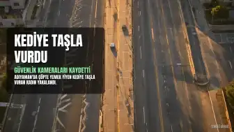 Adıyaman'da Kediyi Taşlayan Kadın Gözaltına Alındı