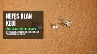 Afyonkarahisar'da Diyafram Fıtığı Olan Kedi Ballı Başarıyla Operasyon Geçirdi
