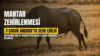 Cide'de Mantar Zehirlenmesi Şüphesi: 3 Çocuk Ankara'ya Sevk Edildi