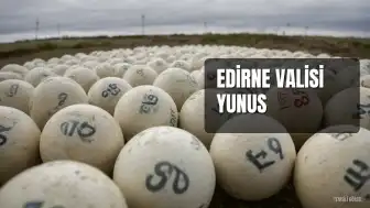 Edirne Valisi Yunus Sezer, Lalapaşa Kaymakamı Mustafa Çolak'ı Ziyaret Etti