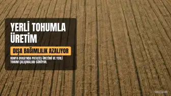 Konya'da Yerli Patates Tohumu Üretimiyle Dışa Bağımlılık Azaltılıyor