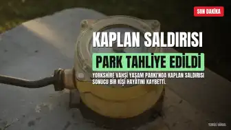 Yorkshire Vahşi Yaşam Parkı'nda Kaplan Saldırısı Sonucu Bir Kişi Hayatını Kaybetti