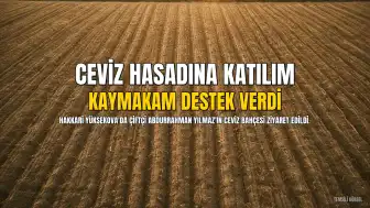 Yüksekova Kaymakamı Hülür, Ceviz Hasadına Katılarak Çiftçiye Destek Verdi