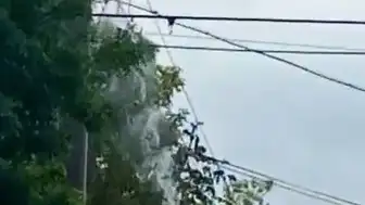Aksaray'da Leylek Yuvasında Çıkan Yangında Anne ve Yavruları Kurtarıldı
