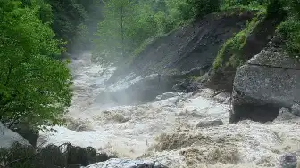 Artvin'de Sağanak Afeti: Dere Taştı, Yol Kapandı, Turistler Kurtarıldı