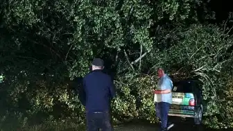 Bartın'da Şiddetli Fırtına: Ağaçlar Otomobillerin Üzerine Devrildi, Maddi Hasar Oluştu
