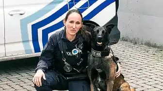 Belçika'da Köpekler İçin Özel Menü ve Polis Köpeği Bob'un Başarısı