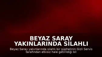 Beyaz Saray Yakınlarında Silahlı Şüpheli Etkisiz Hale Getirildi