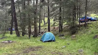 Bolu'da Ormana Yıldırım Düşmesi Sonucu 3 Kişi Yaralandı