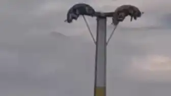 Buca Lunaparkta Bayramda Arızalar Vatandaşları Tehlikeye Attı