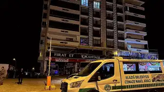 Elazığ'da Çocuklarının Gözü Önünde Eşini Öldüren Şüpheli Gözaltına Alındı