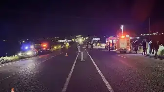Elazığ'da Domuz Kazası: 5 Yaralı