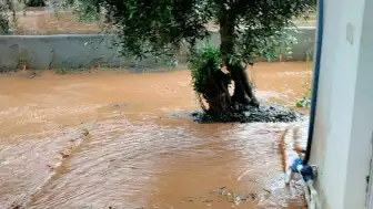 Gaziantep'in İslahiye İlçesinde Sağanak Nedeniyle Dereler Taştı, Ekipler Çalışma Başlattı
