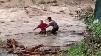 Hatay'da Sel Sonrası Dere Yatağında Tehlikeli Kütük Toplama Girişimi