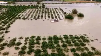 Hatay'da Sel Sonrası Tarım Arazilerindeki Hasar Ortaya Çıktı