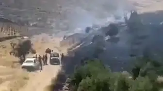 İşgal Altındaki Batı Şeria'da Buğday Tarlaları Ateşe Verildi