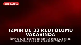 İzmir'de 33 Kedi Ölümü Vakasında Veteriner Hekim Yeniden Gözaltına Alındı