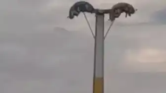 İzmir'de Lunapark Kabusu: Oyuncak Arızaları Vatandaşları Mahsur Bıraktı
